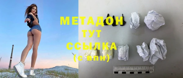 прущие грибы Балахна