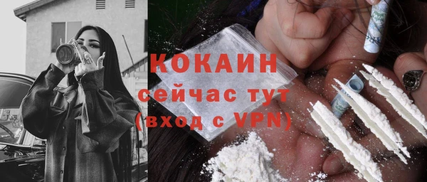 прущие грибы Балахна