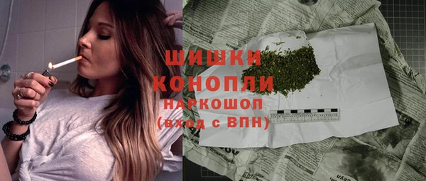 прущие грибы Балахна