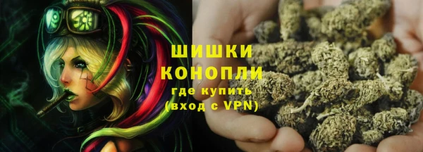 прущие грибы Балахна